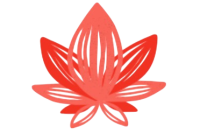 Captura de pantalla 2025-07-30 074916-Photoroom